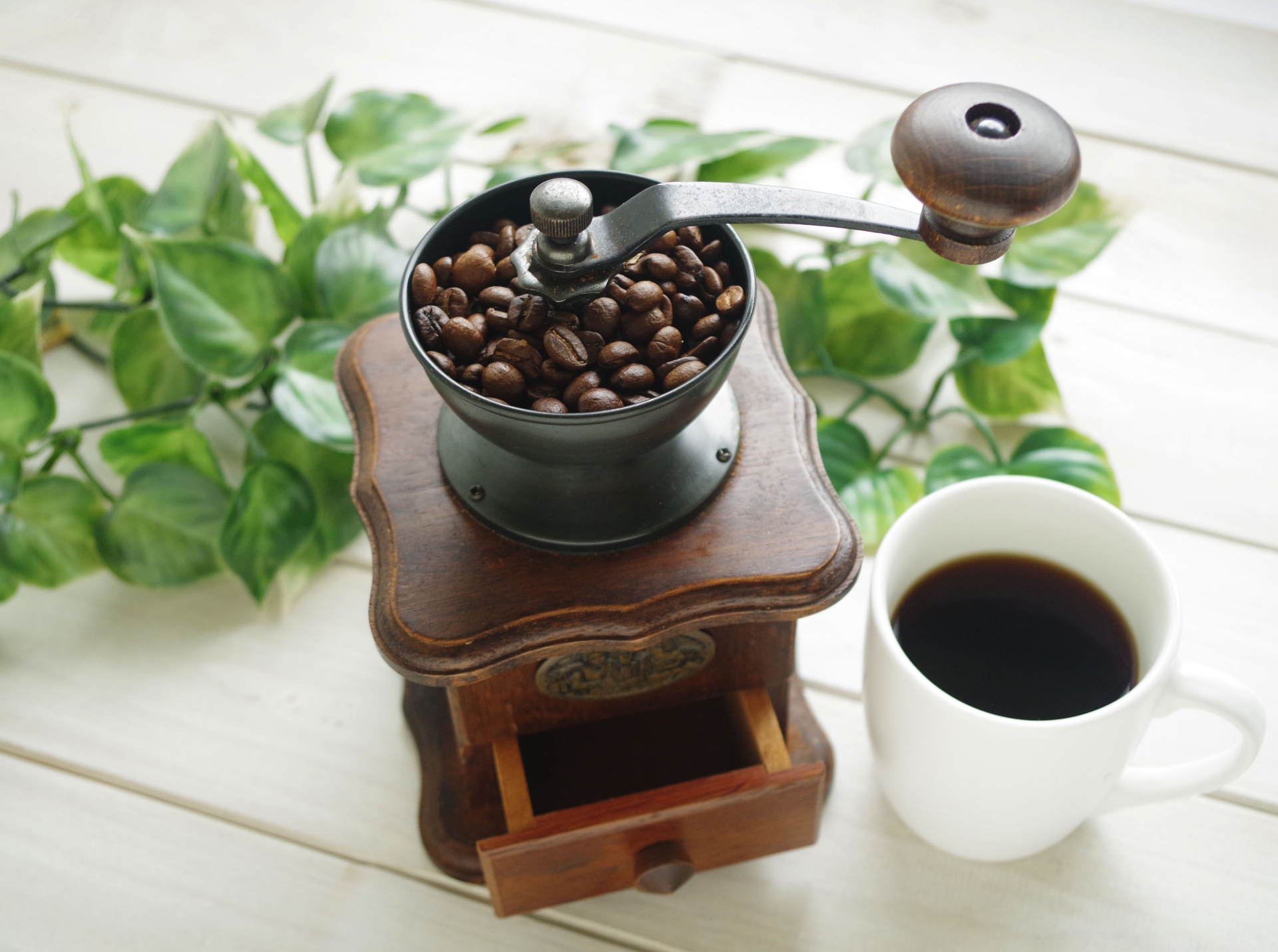 カフェジャーナルで楽しむ自家製野菜ランチとつくば市のおしゃれカフェ情報